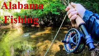 Summer Creek Fly Fishing (Bass and Panfish)