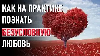 Как на практике познать Безусловную Любовь. ОТВЕТЫ НА ВОПРОСЫ