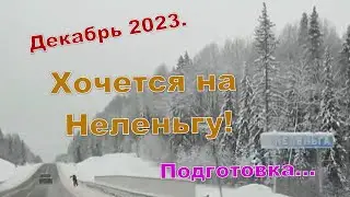 Подготовка к поездке на Неленьгу. Гаражные дела. Снег, лопата. Пила, шнек.