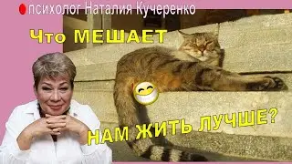 Что мешает нам жить лучше? Наталья Кучеренко