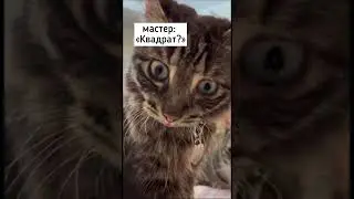 Как бывает на самом деле