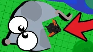 Black Dragon INSIDE MOUSE in Mope.io