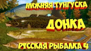 русская рыбалка 4 - Донка река Нижняя Тунгуска - рр4 фарм Алексей Майоров russian fishing 4
