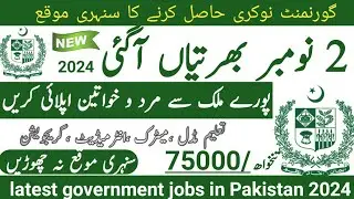 Latest government November jobs 2024 ۔ New jobs 2024 in pakistan۔Latest jobs in Pakistan 2024 today