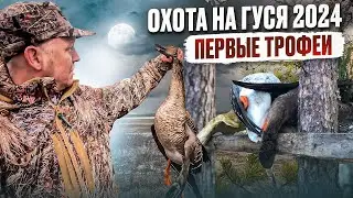 ОХОТА НА ГУСЯ 2024 // ВЕСЬ ГУСЬ ТОРМОЗНУЛ У НАС // ПОДНЯЛИ ТЫСЯЧИ ГУСЕЙ // ЧАСТЬ 1