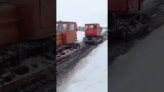 Т 4