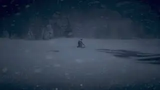 Colter -  Red dead Redemption 2