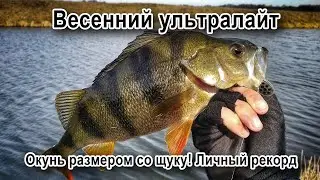 Весенний ультралайт. Окунь размером со щуку! Личный рекорд.