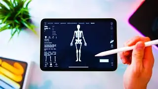 iPad Mini 6 (Starlight) + Apple Pencil 2 Review for Students | Notetaking, Creative Work