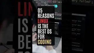 5 reasons Linux is the best OS for coding/ Programming 