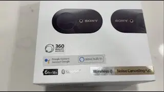 Sony Wireless EarBuds Review
