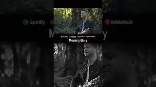 Morning Glory - Oasis (Boyce Avenue acoustic cover) 