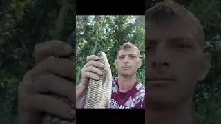 23 июля 2024 г.