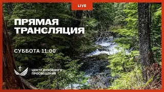 Прямая трансляция богослужения 14 сентября 2024