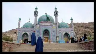 Соединение Души. Работа с питомцем.(регрессия).