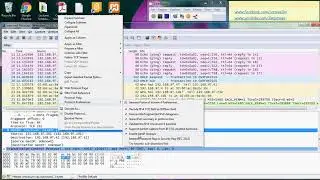 WireShark - IP (Internet Protocol)
