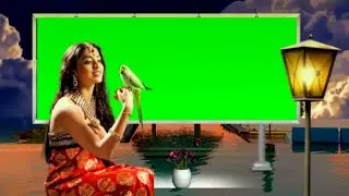 green screen video -photo frame HD -green screen effects wedding -(2021  .new