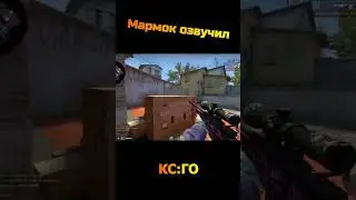 Мармок озвучил КС ГО 