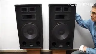 Обзор концертной акустики Mac Audio Soundforce 1300