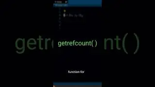 Check the Reference Count of an Object in Python!