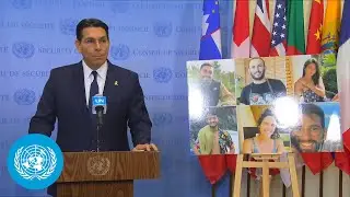 Israel on Gaza | Security Council Stakeout | United Nations