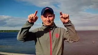 Миша Летний 