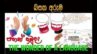 The Wonder of the Sinhala Language | බසක අරුම | @insight_4U