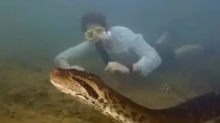 Анаконда - вот это размерчик. А у мужика железные колокольчики.