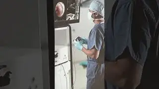 Come with me to a surgical training day! 