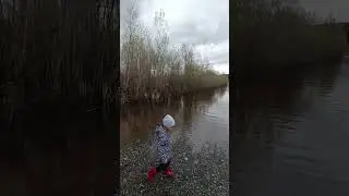 Опять облом #fishing