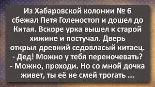 Хабаровский Рецидивист! Сборник Самых Свежих Анекдотов!