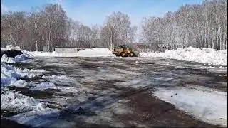 Пришла весна для пчёл. 30.03.24