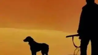 Удачная охота.