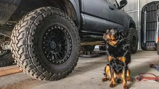Choosing An OFFROAD(ish) TIRE - What Size Use Case, Practicality, Overlanding, MT / AT / RT?