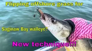 Get Your Saginaw Bay Walleye Fix By Flipping Some Grass!