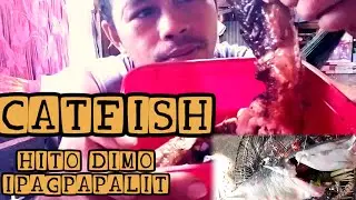 ULAM SA TANGHALIAN  GRILLED HITO /CATFISH/ @LORENZDAIROTV396 Mukbang