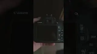 Is the Canon Rebel T5 Easy to Use?