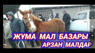 ЖҰМА МАЛ БАЗАР ЖЫЛҚЫ, СИЫР, ҚОЙ БАҒАСЫ | МАЛ БАЗАР 2024 | ЖҰМА МАЛ БАЗАРЫ