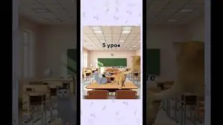Знаю, что не по теме канала. Проверяю, залетит ли🤦🏼‍♀️