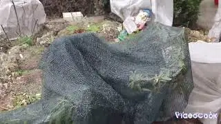 💐Приглашаю погулять...Обзор сада,  весна 2024...Что сделано, что нужно сделать в саду