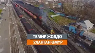 Темир жолдо уланган өмүр