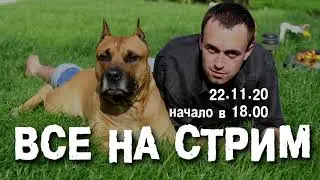 Рыбачёв приглашает на стрим!!!