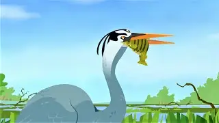 Heron eats fish & crab (WK S04E11)