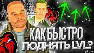 КАК БЫСТРО и ЛЕГКО ПОДНЯТЬ LVL на BLACK RUSSIA || КАК ПОДНЯТЬ УРОВЕНЬ НА БЛЭК РАШЕ - CRMP MOBILE