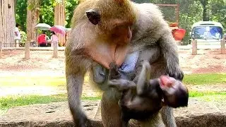 OMG !! Who know my feeling|| Why Dana do like this|| Baby hungry and hurt ear much.