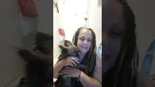 Search command from scratch for service Dog  part 1