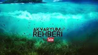 Akvaryumlarınızı Yorumluyorum Ekstra 2023