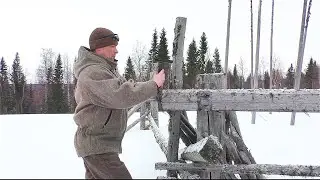 МЕДВЕДЬ СКОРО ВЫЙДЕТ ИЗ БЕРЛОГИ / ВЫБИРАЮ МЕСТО ДЛЯ ПРИВАДЫ НА МЕДВЕДЯ / ПРОВЕРКА ФОТОЛОВУШКИ.