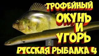 русская рыбалка 4 - Окунь Угорь озеро Старый Острог - рр4 фарм Алексей Майоров russian fishing 4