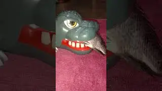 god-zilla eating fish tilapia